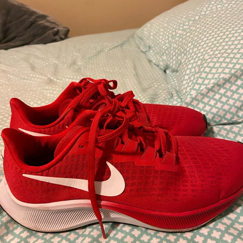 Nike Pegasus 37